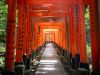 Kyoto, Fushimi Inari Taisha