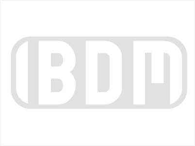 Logo IBDM