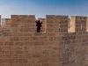 Torre de Quart, Valencia