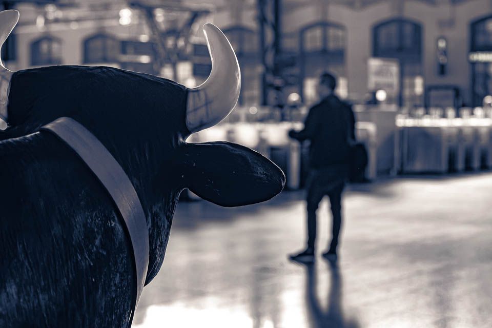 Stier im Haupfbahnhof von Valencia