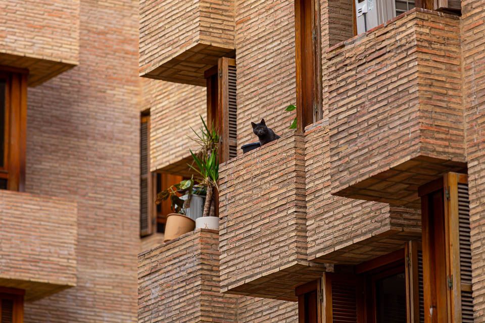 Valencia, Gebäude mit Katze