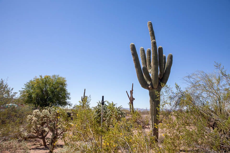 Phoenix, Desert Botanical Garden