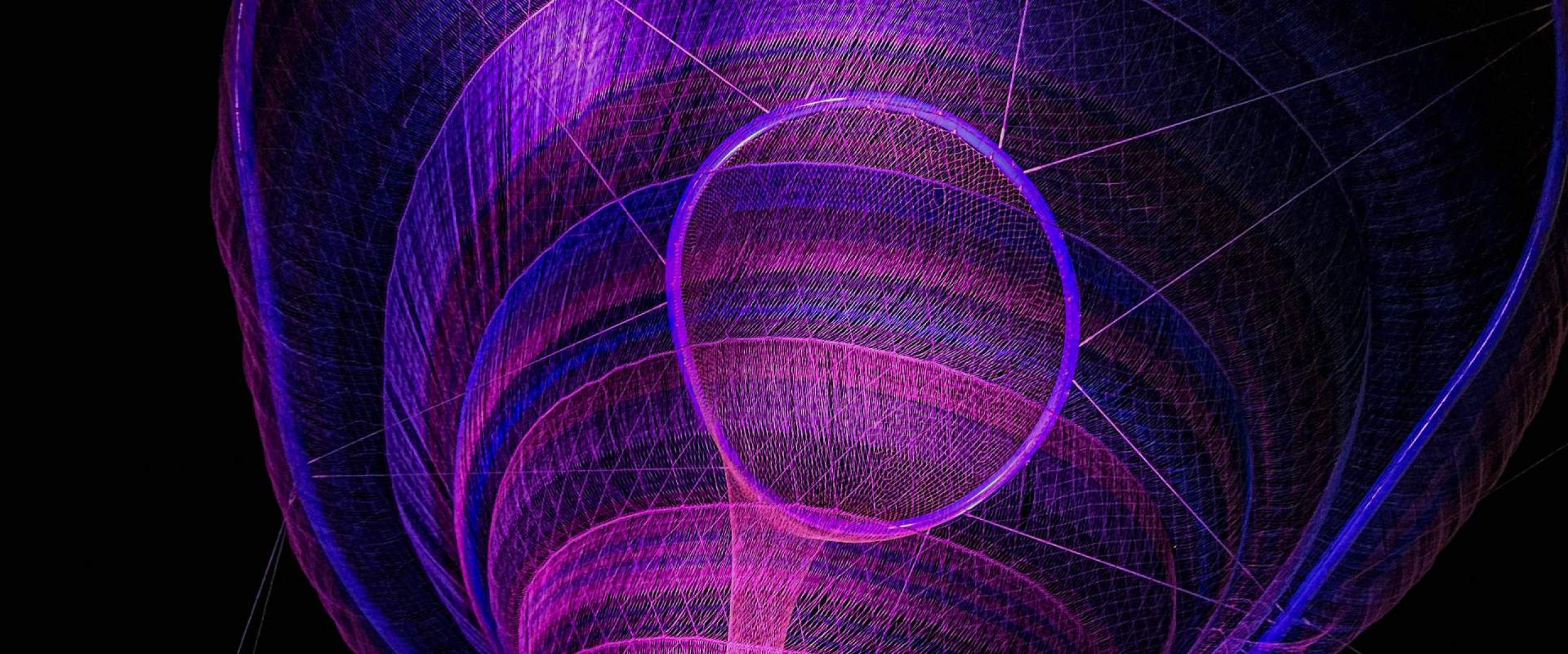 Netz