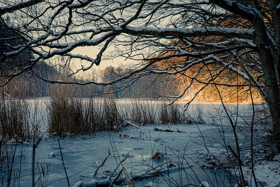 Thanninger Weiher im Winter
