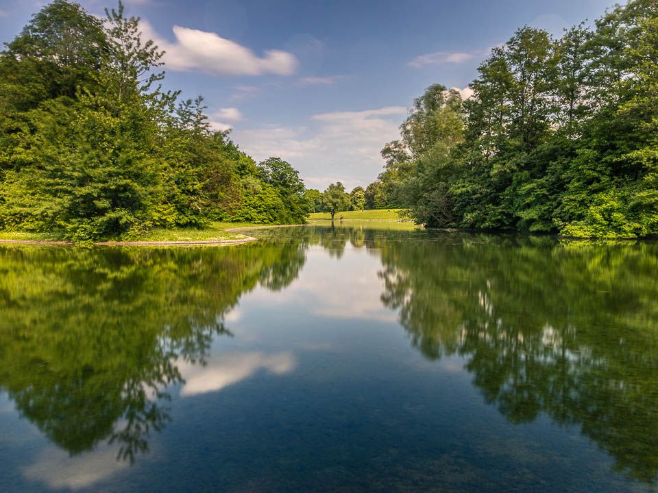Bäume die sich in einem Teich spiegeln