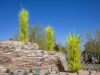 Phoenix Desert Botanical Garden