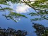 Spiegelung im Wasser