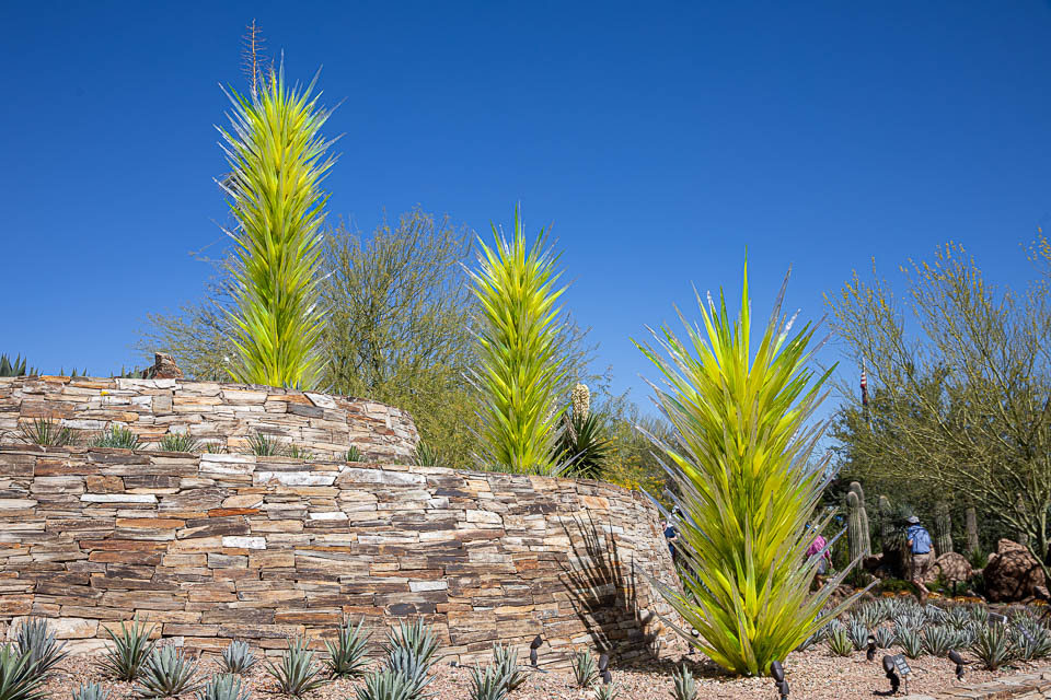 Phoenix Desert Botanical Garden