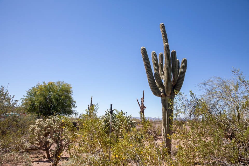 Phoenix, Desert Botanical Garden