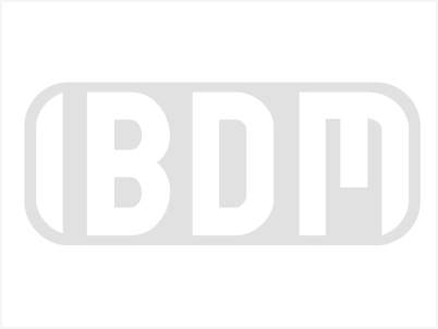 Logo IBDM