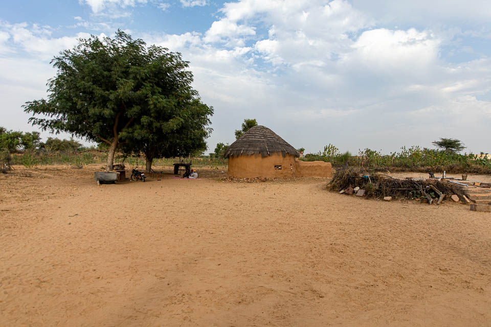 Dorf der Bishnoi in der Wüste Thar
