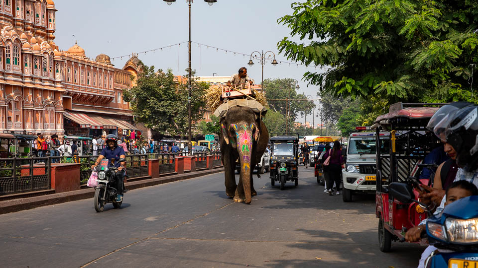 Straßenszene in Jaipur