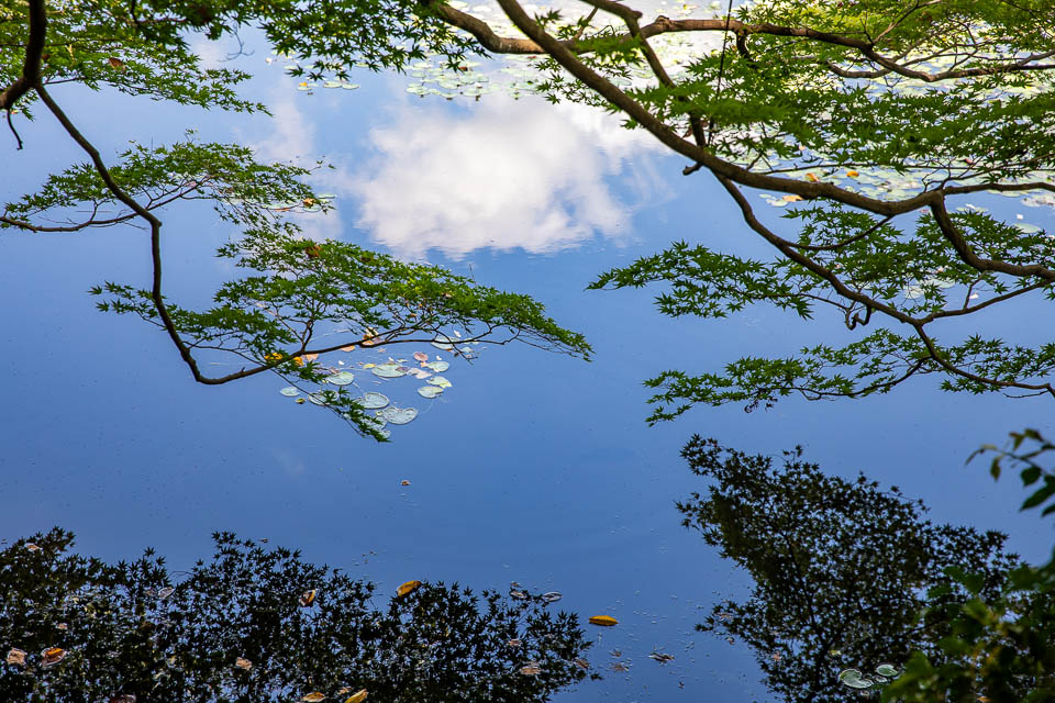 Spiegelung im Wasser