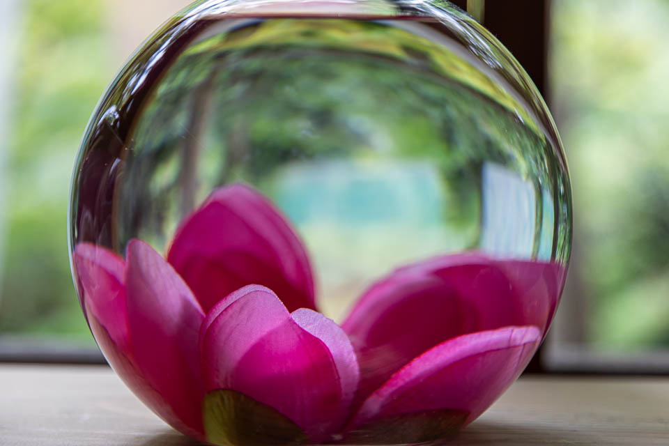 Glasvase mit Blüte