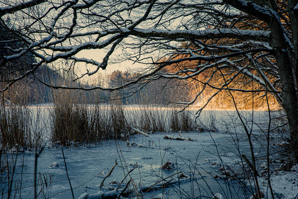 Thanninger Weiher im Winter