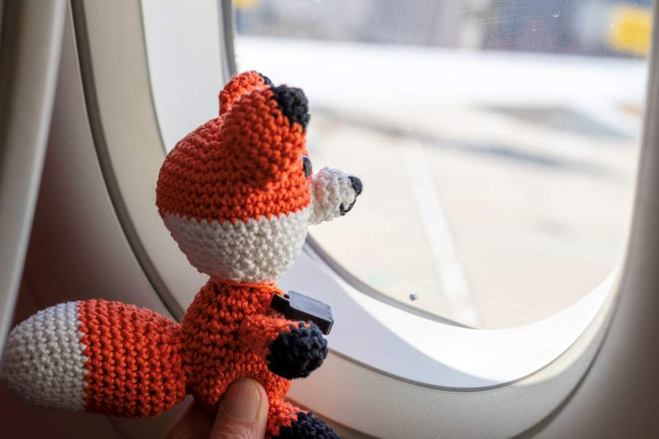 Der Fotofuchs im Flugzeug