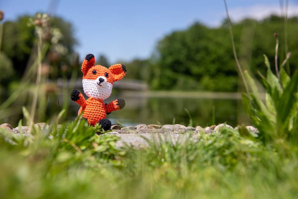 Der Fotofuchs im Grünen