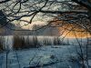 Thanninger Weiher im Winter